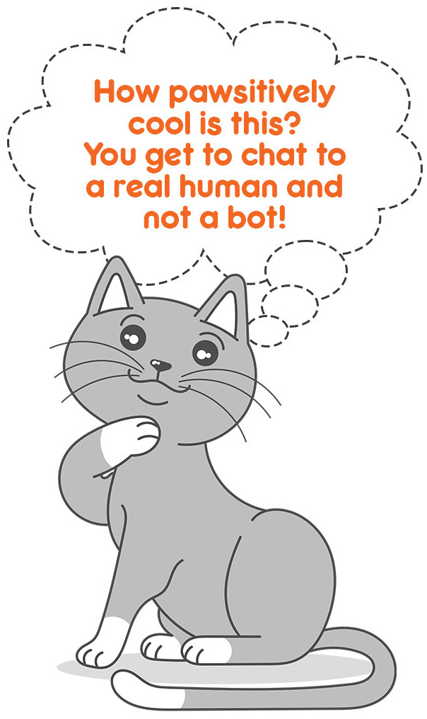 Kitty-thinks-pet-experts-are-pawsome Pet Expert Brokers PawPaw