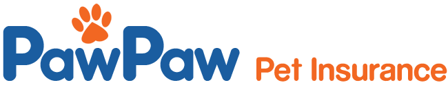 PawPaw Pet Insurance - trusted for over a decade | pawpawpets.co.za