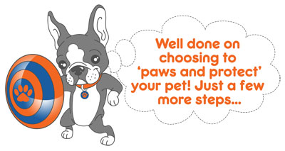 Pet Insurance Quote South Africa
